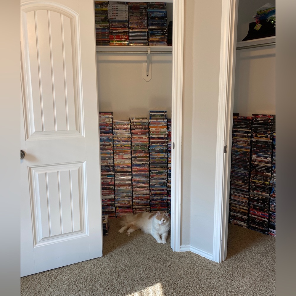 5lb Box of DVDs